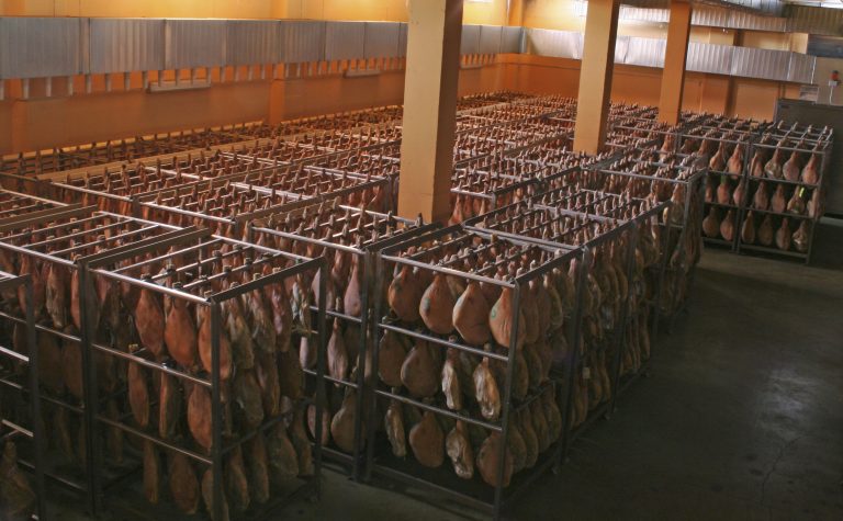 jamones bodega